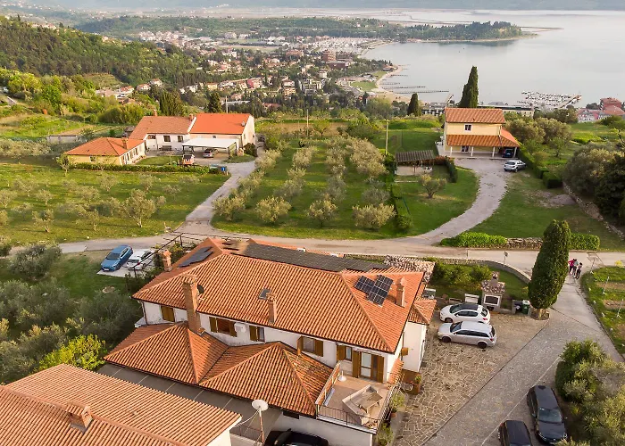 公寓 Olive Hill 波尔托罗